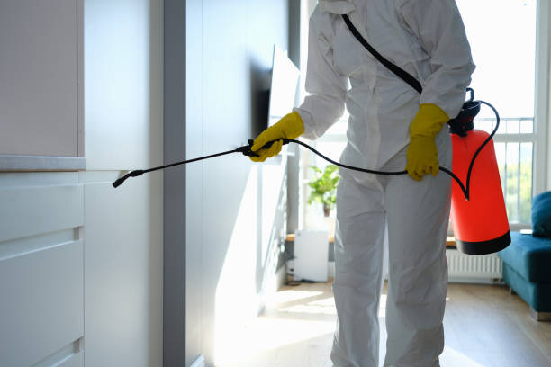 Best Mold Cleaning Services  in Water Valley, MS