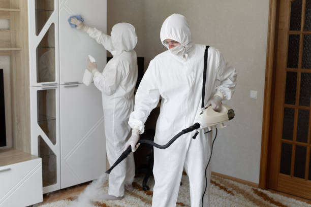 Best Mold Damage Repair  in Water Valley, MS