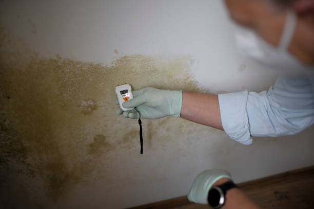 Best Crawl Space Mold Removal  in Water Valley, MS